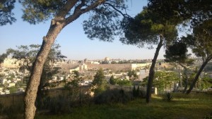 Jérusalem Vue de la Maison d'Abraham