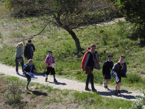 Marche scout nature Eglise verte