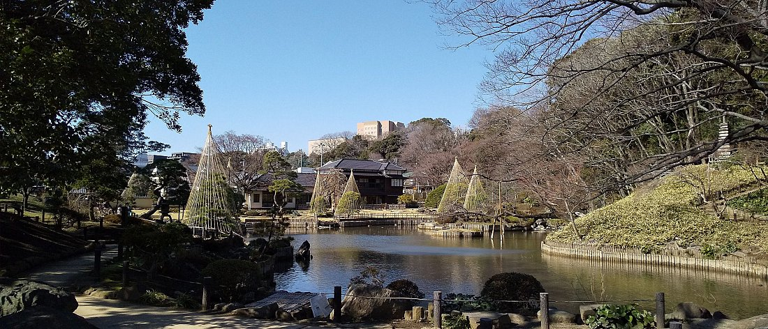 Un jardin à la japonaise