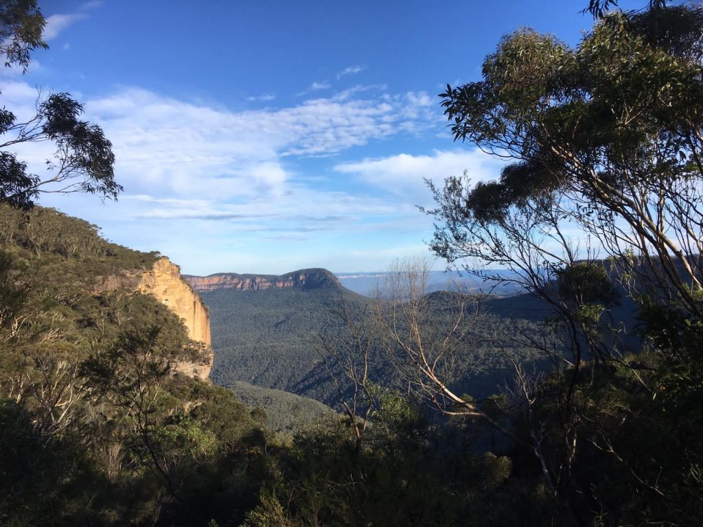 WE Amoris Laetitia, CCF Australie